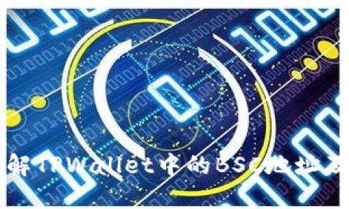 深入了解TPWallet中的BSC地址及其应用