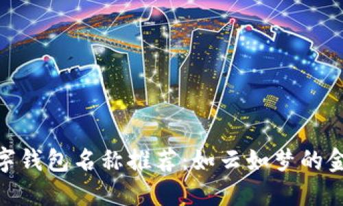 最美数字钱包名称推荐：如云如梦的金融科技