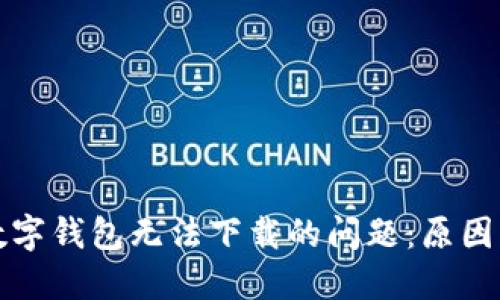 如何解决数字钱包无法下载的问题：原因与解决方案