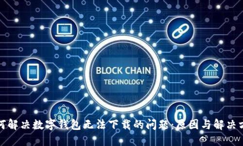 如何解决数字钱包无法下载的问题：原因与解决方案