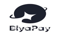 TPWallet无法闪兑的原因及解