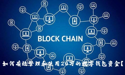 如何有效管理和使用20万的数字钱包资金？