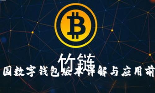 中国数字钱包版本详解与应用前景