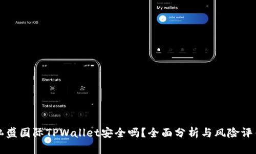弘盛国际TPWallet安全吗？全面分析与风险评估