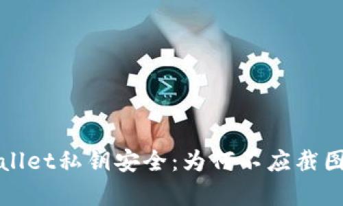 TPWallet私钥安全：为何不应截图保存