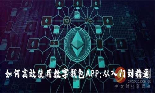 如何高效使用数字钱包APP：从入门到精通