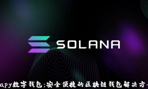 
Vapy数字钱包：安全便捷的区块链钱包解决方案