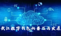 武汉数字钱包的普及与发