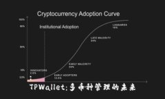 :TPWallet：多币种管理的未