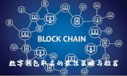 数字钱包取名的最佳策略与推荐