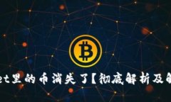 TPWallet里的币消失了？彻底