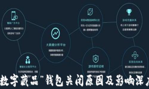 
“ibox数字藏品”钱包关闭原因及影响深度解析