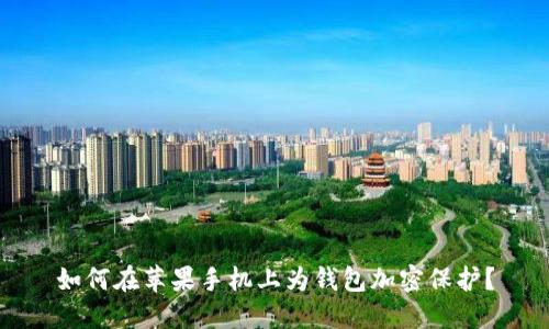 如何在苹果手机上为钱包加密保护？