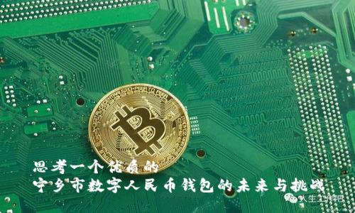 思考一个优质的 
宁乡市数字人民币钱包的未来与挑战