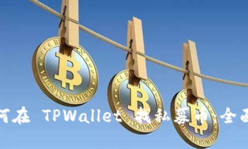 : 如何在 TPWallet 找私募币：全面指南