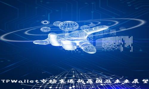 TPWallet市场衰退的原因及未来展望