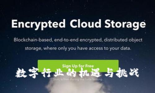 数字行业的机遇与挑战