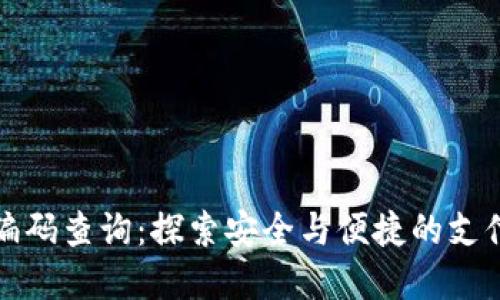 数字编码查询：探索安全与便捷的支付未来