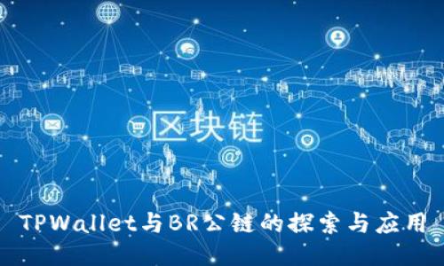 TPWallet与BR公链的探索与应用