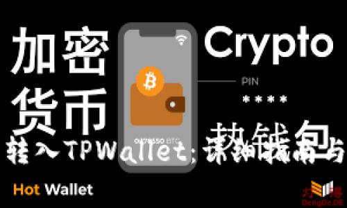 如何将人民币转入TPWallet：详细指南与常见问题解析
